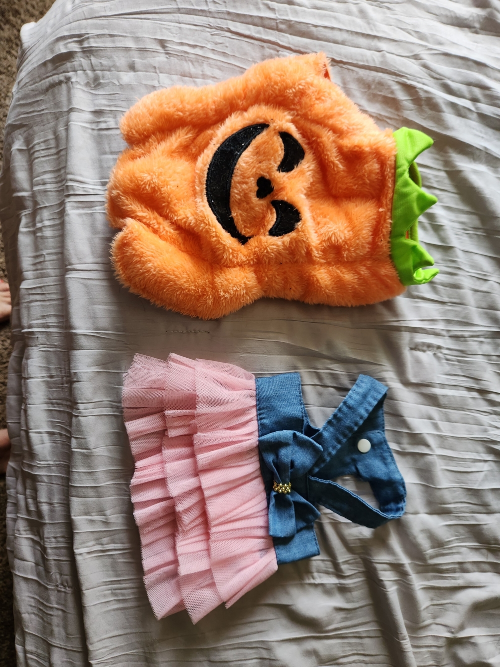 Festive Orange Pumpkin Plush Dog Costume with Green Collar